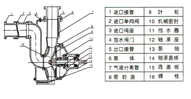 ZWB防爆自吸式無堵塞排污泵（結構圖）